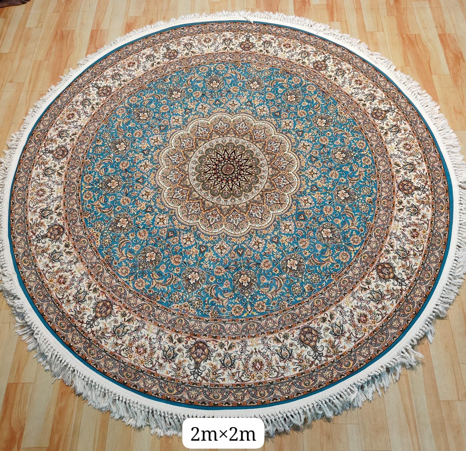 WhatsApp Image 2024-10-12 at 14.56.53 (2)