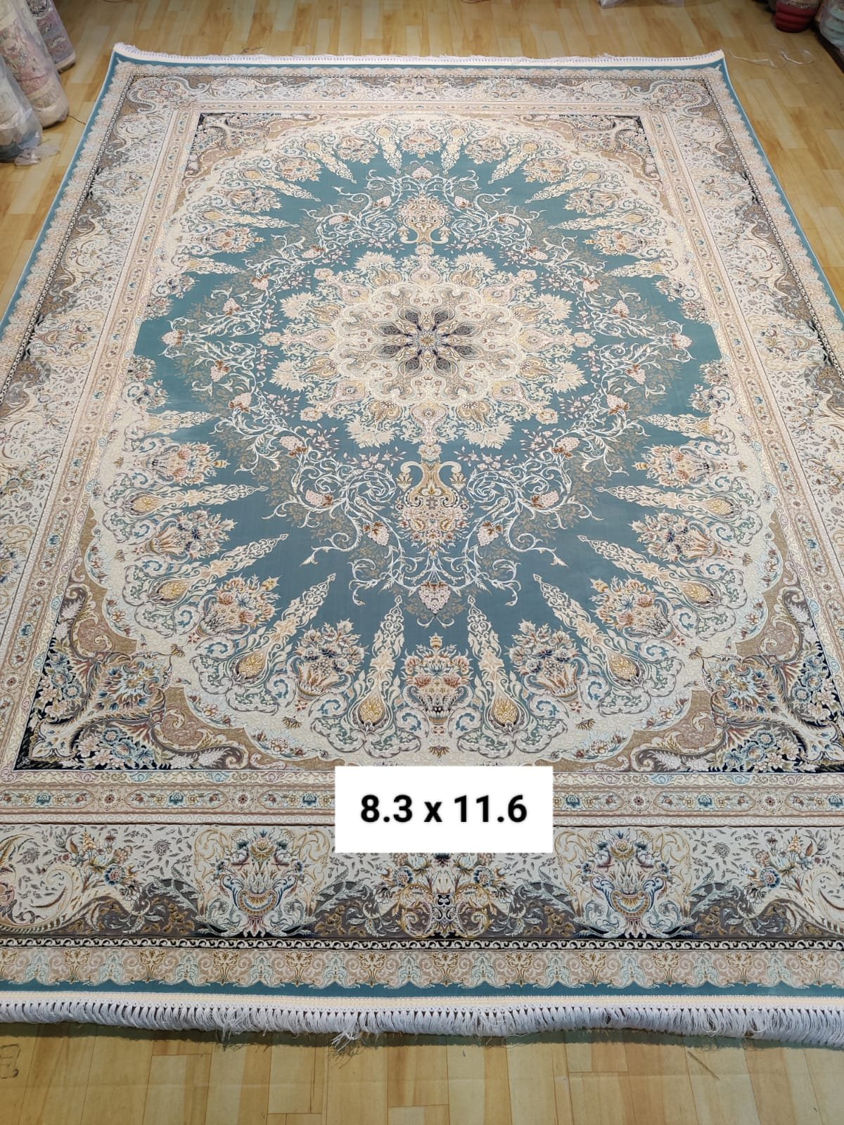 WhatsApp Image 2024-10-12 at 14.58.55 (1)