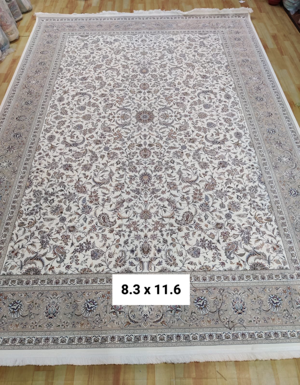 WhatsApp Image 2024-10-12 at 14.58.56