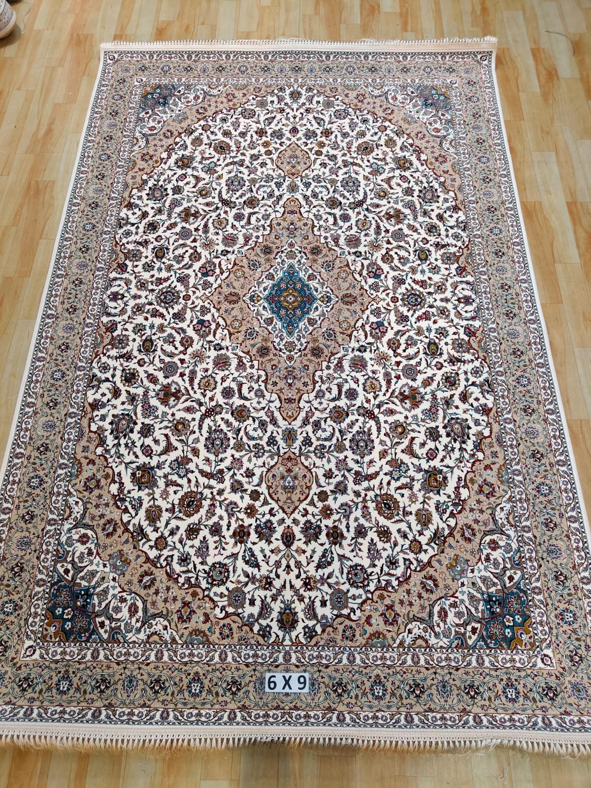 WhatsApp Image 2024-10-12 at 15.01.43 (2)