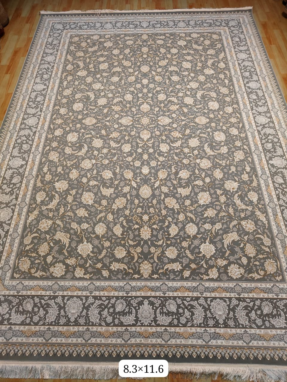 WhatsApp Image 2024-10-21 at 12.30.00