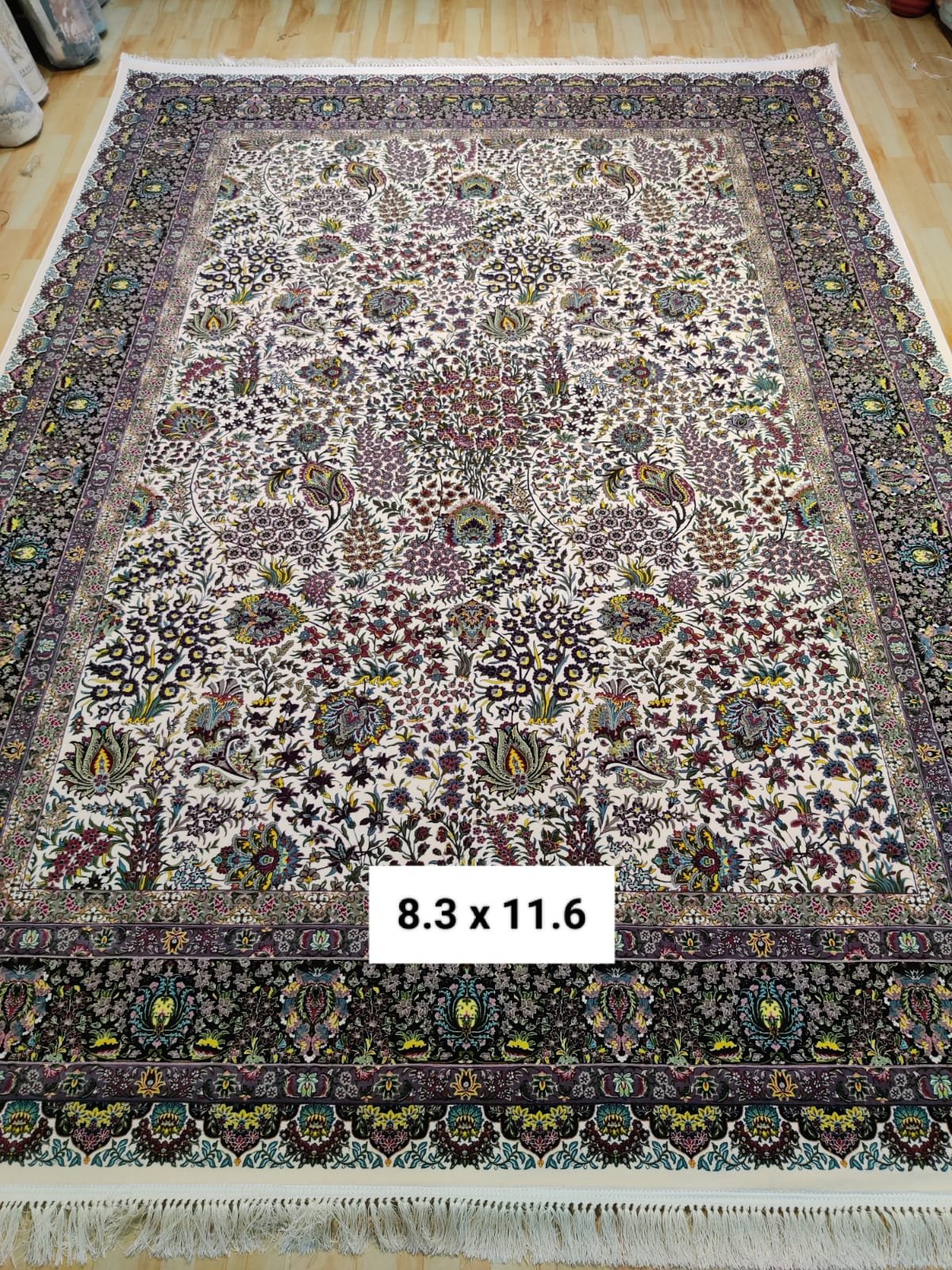 WhatsApp Image 2024-10-21 at 12.30.05